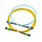 12 cable de la base MPO MTP, asambleas de cable de fribra óptica amarillas del tronco del color para SFP