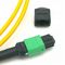 Longitud modificada para requisitos particulares del cordón de remiendo del solo modo del cable G657A1 LSZH 3,0 de la base MPO MTP de USCOME 24