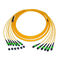 Solo modo 9/125 tronco MTP de la fibra del cable del cordón de remiendo de la fibra óptica 12/Pvc de MPO
