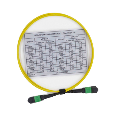 comprar Cordón de remiendo con varios modos de funcionamiento de OS2 9/125 MPO MTP de la fibra femenina del cable 12 online manufacture