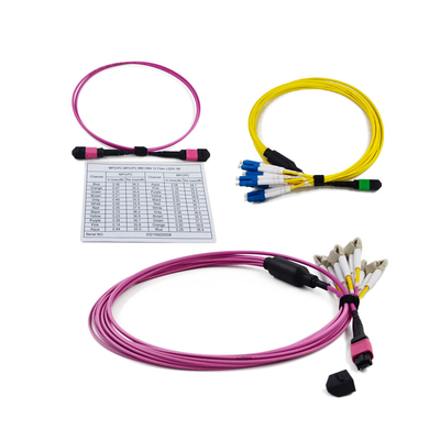 comprar Pérdida de inserción baja 3.0m m MPO al casete 12 del LC 24 casetes de la fibra MPO MTP online manufacture