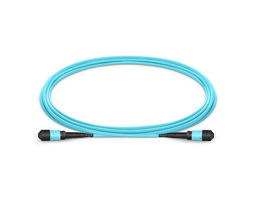 comprar 12 núcleos LSZH Material Múltimodo MPO MTP Cable Patch Cord para la transmisión de datos de alta velocidad online manufacture