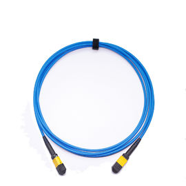 comprar Cordón de remiendo material acorazado bajo de la fibra óptica de la base MTP Mpo LSZH de la pérdida de inserción 24 3meters online manufacture