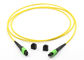 Varón del cable MPO del tronco MPO MTP a MPO SM femenino cordón de remiendo de 8/12 fibras