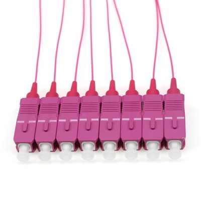 OM4 SC/PC Pigtail de fibra óptica con 0,9 mm de diámetro y 12 colores para aplicaciones de baja pérdida de inserción